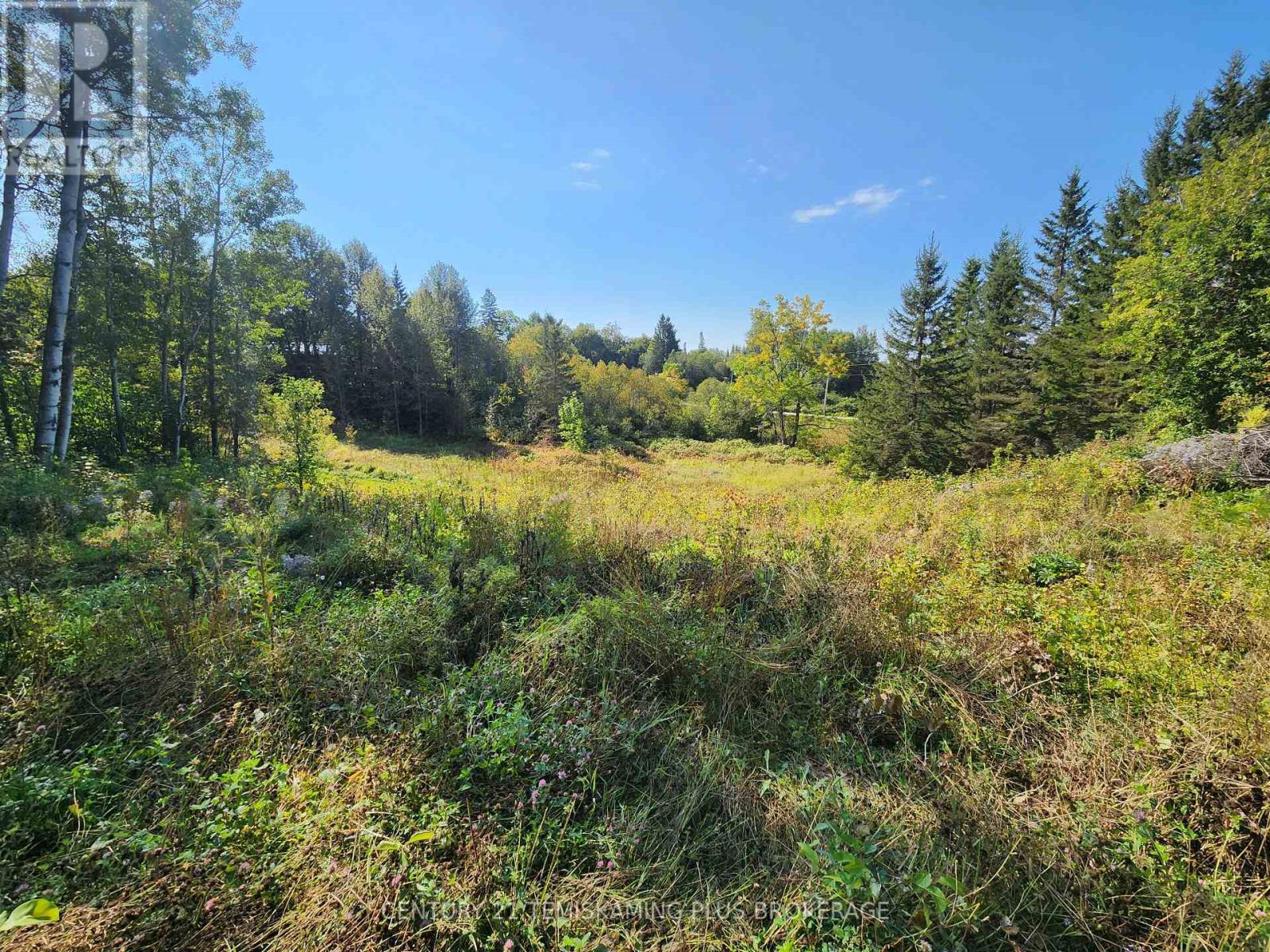 Lt 7-9 Main Street, Englehart (Central Timiskaming), ON