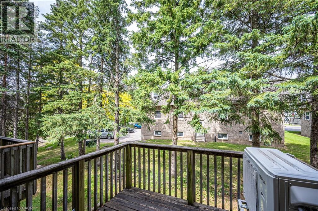Private outdoor balcony with wood railing and decking, surrounded by mature evergreen trees - 212 Westcourt Place, Waterloo, ON - Outdoor