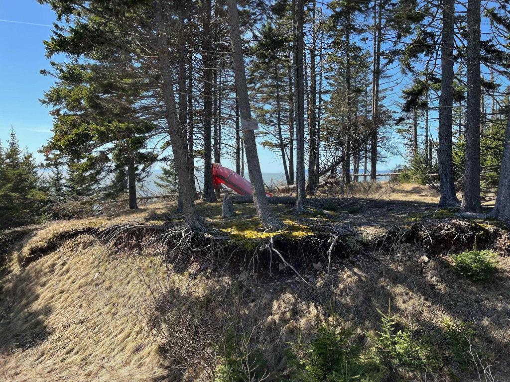 8208 Highway 209, Wards Brook, NS
