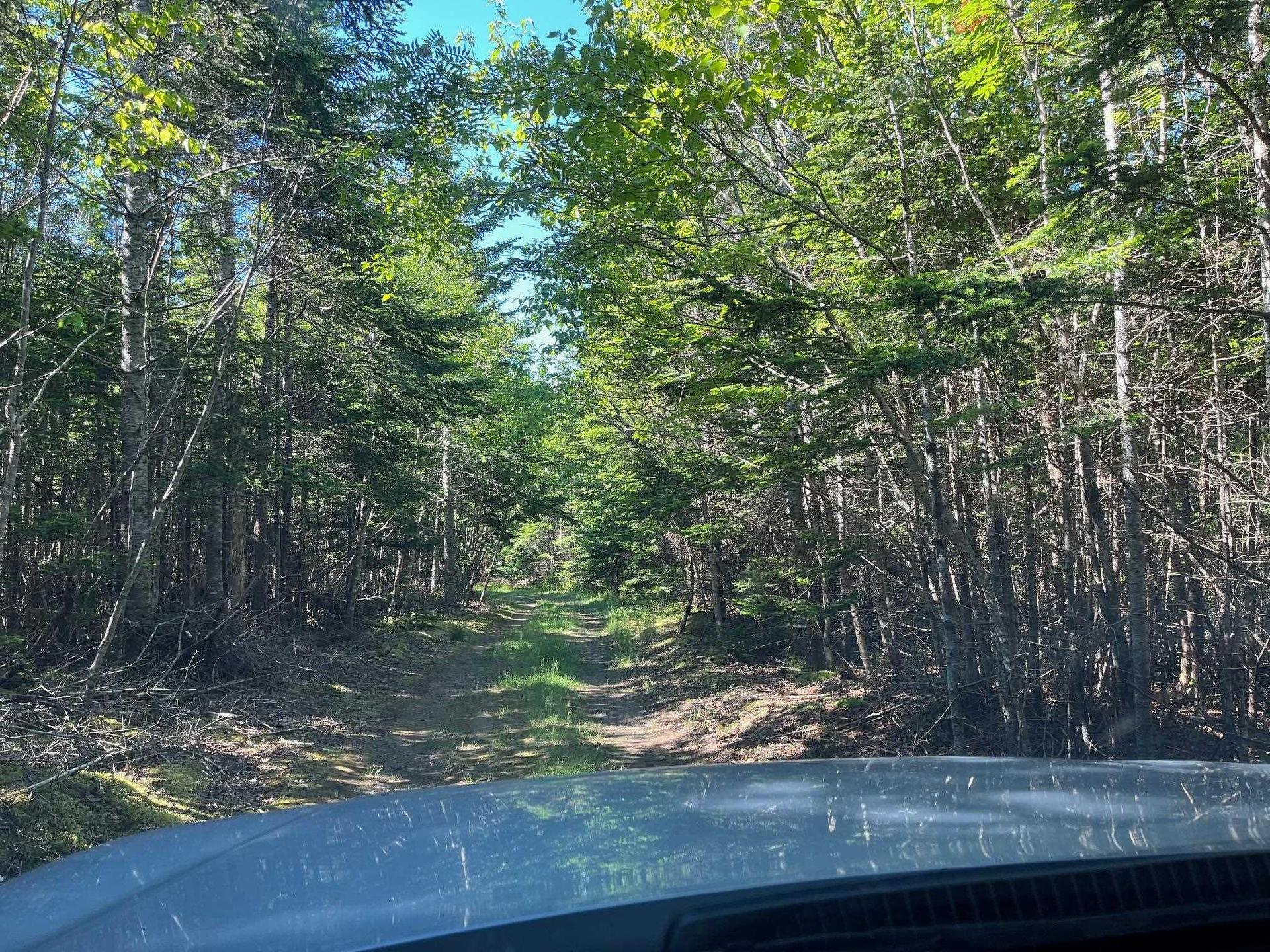 8208 Highway 209, Wards Brook, NS