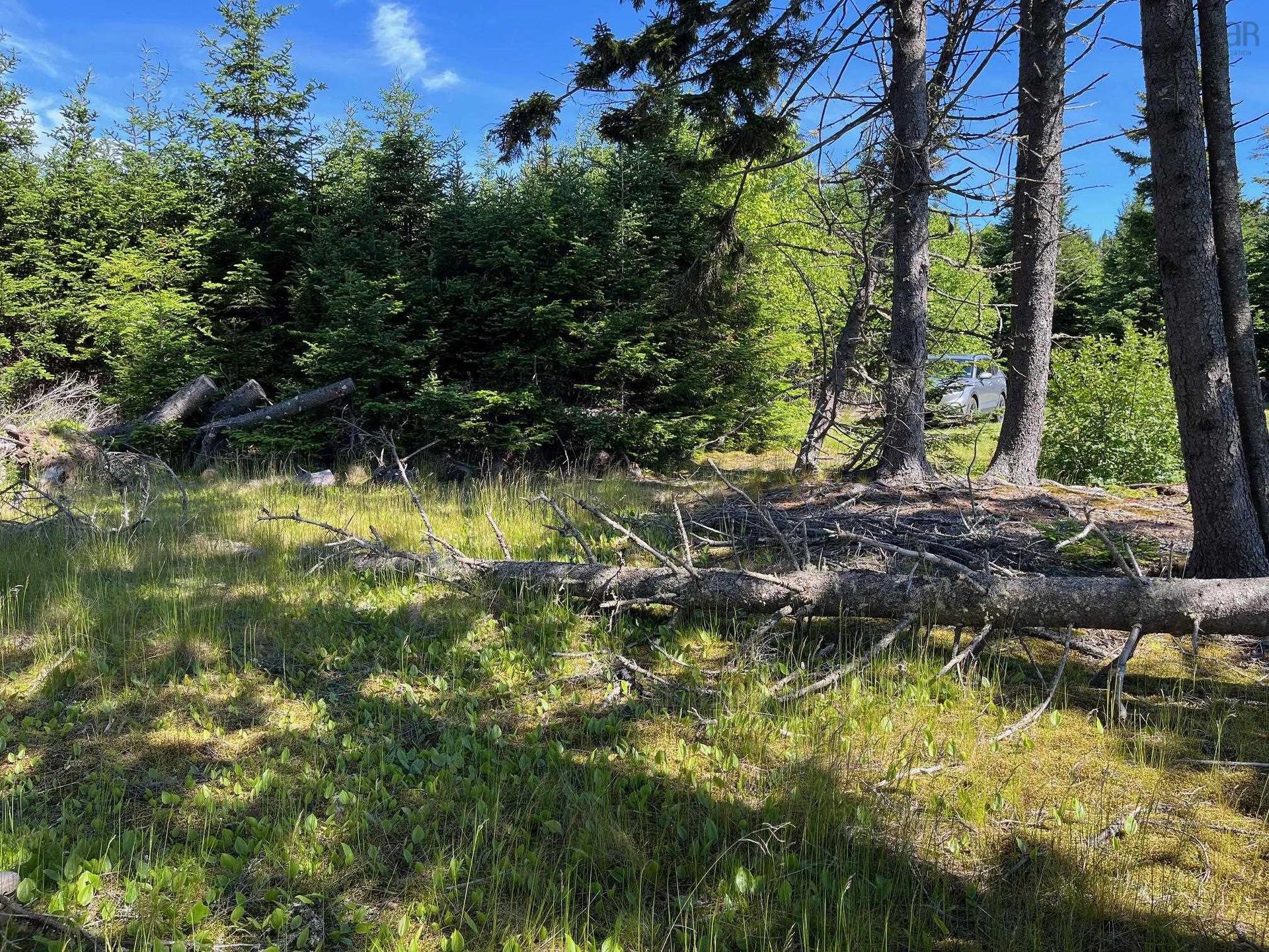8208 Highway 209, Wards Brook, NS