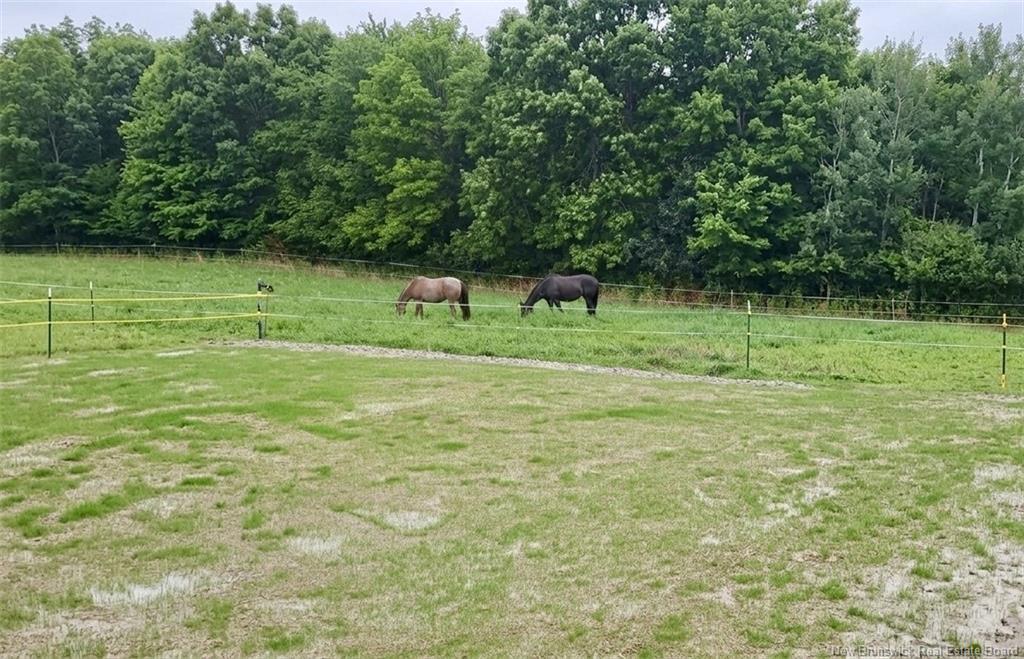 129 Phillips Rd, Charters Settlement, NB