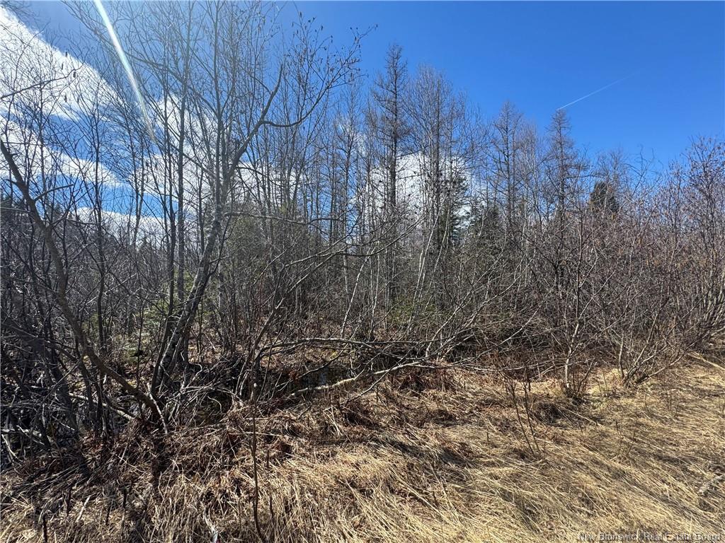 00 Dickson Rd, Lawrence Station, NB