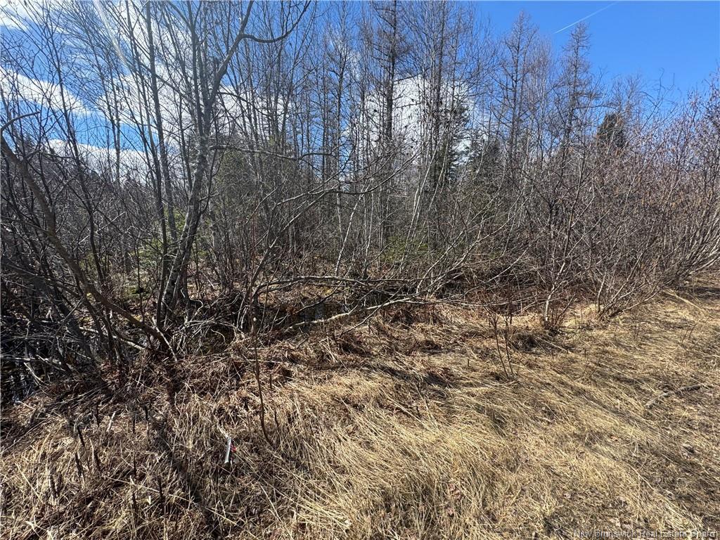 00 Dickson Rd, Lawrence Station, NB