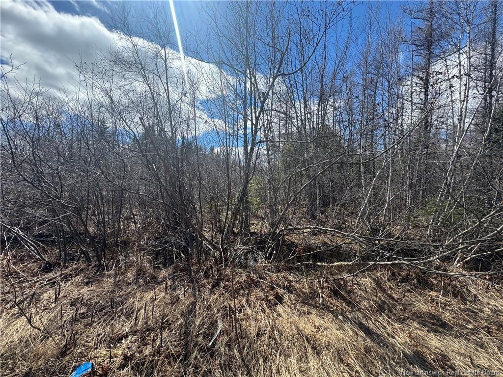 00 Dickson Rd, Lawrence Station, NB