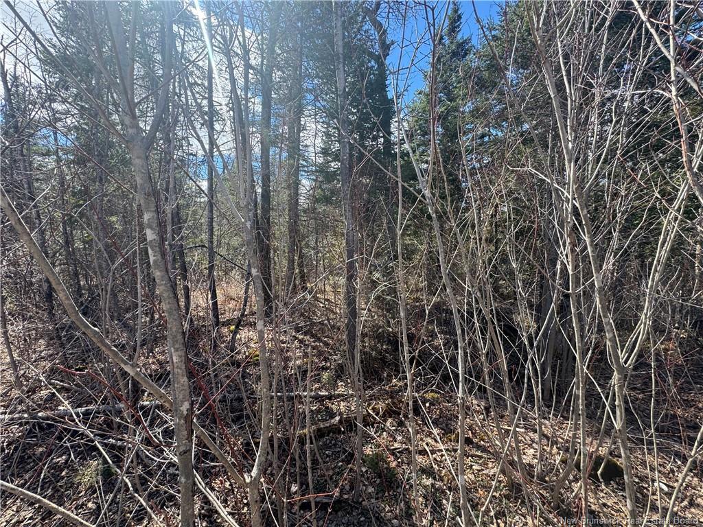 00 Dickson Rd, Lawrence Station, NB