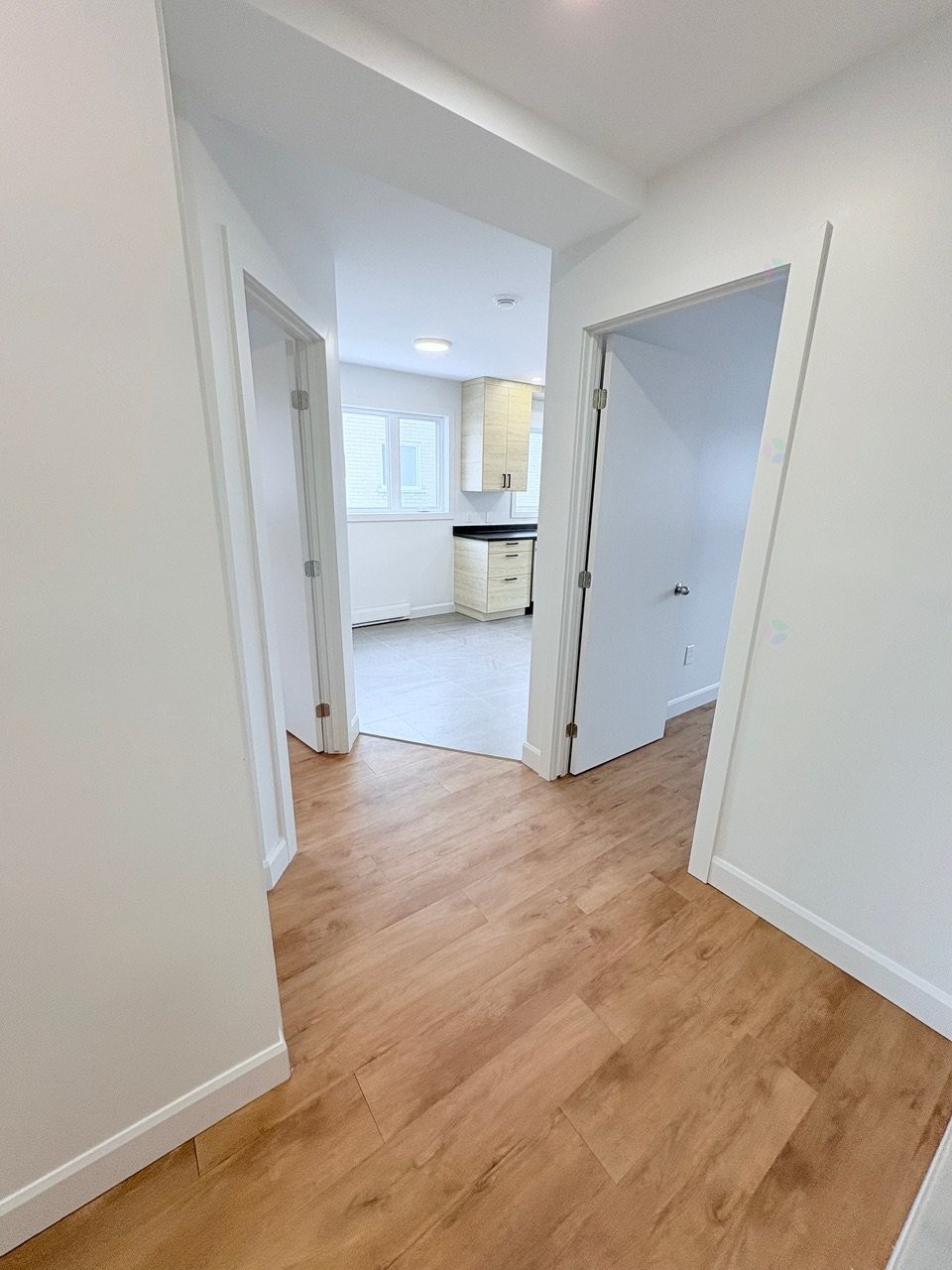 Corridor - 7935 Rue Bonnier, Montréal (Lasalle), QC - Indoor Photo Showing Other Room