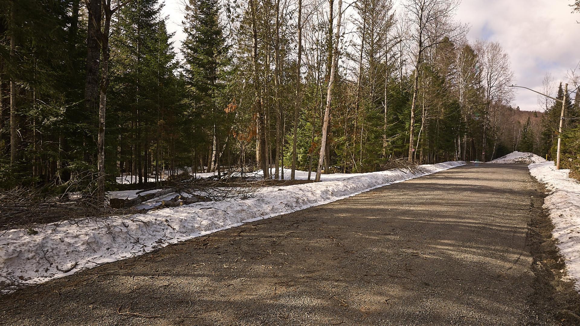 Terre/Terrain - Ch. De La Montagne, Saint-Donat, QC