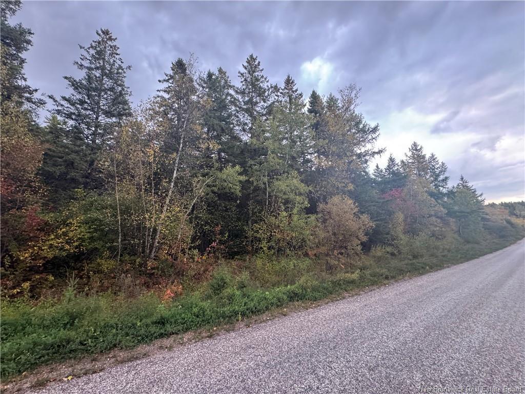 - Salem Rd, Havelock, NB