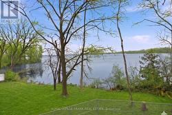 Seasonally edited using AI -