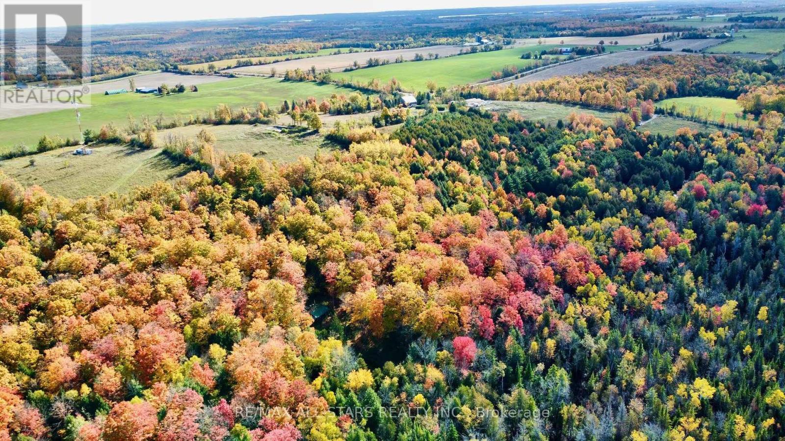 14200 Sideroad 18, Brock, ON - Outdoor With View
