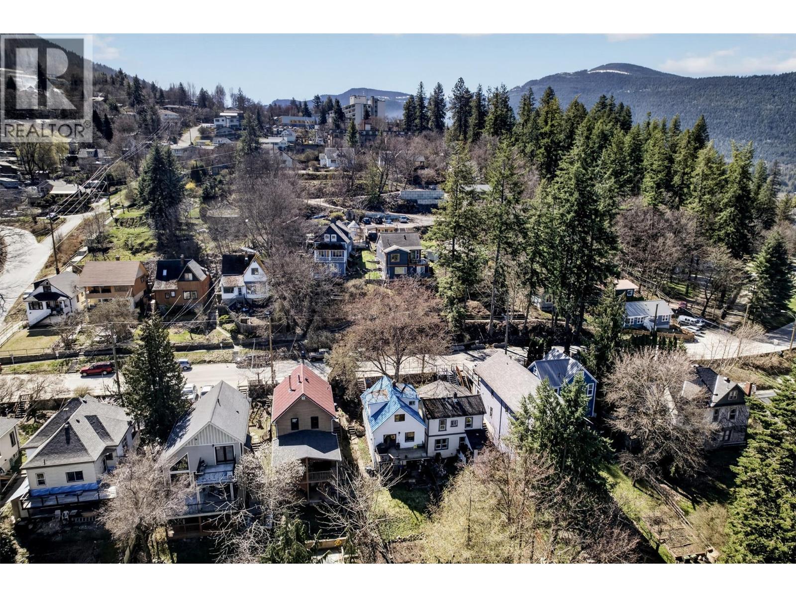 117 High Street, Nelson, BC - Outdoor With View