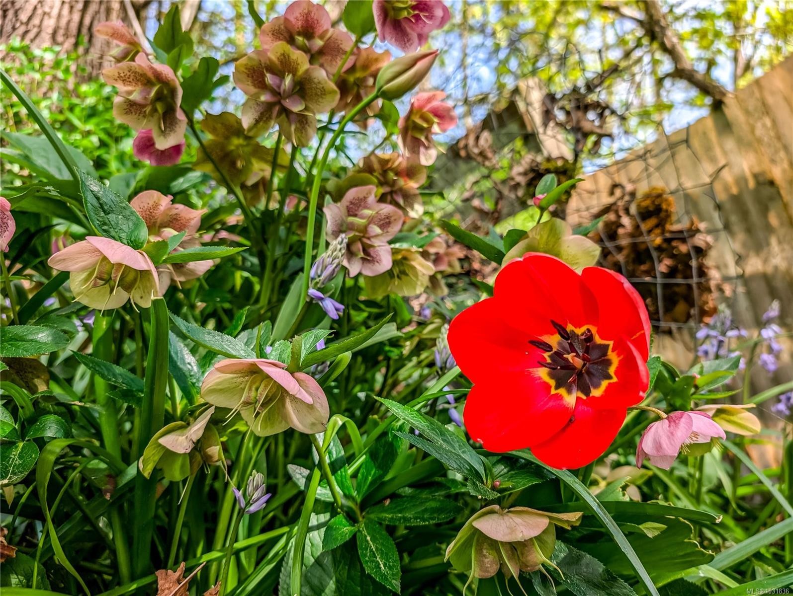 255 White Rd, Duncan, BC