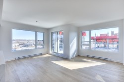 Living Room - 