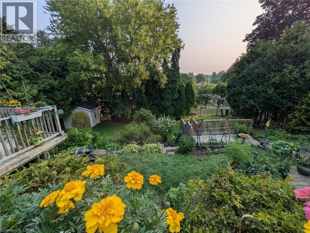 55 Berkley Crescent, Simcoe, ON - Outdoor
