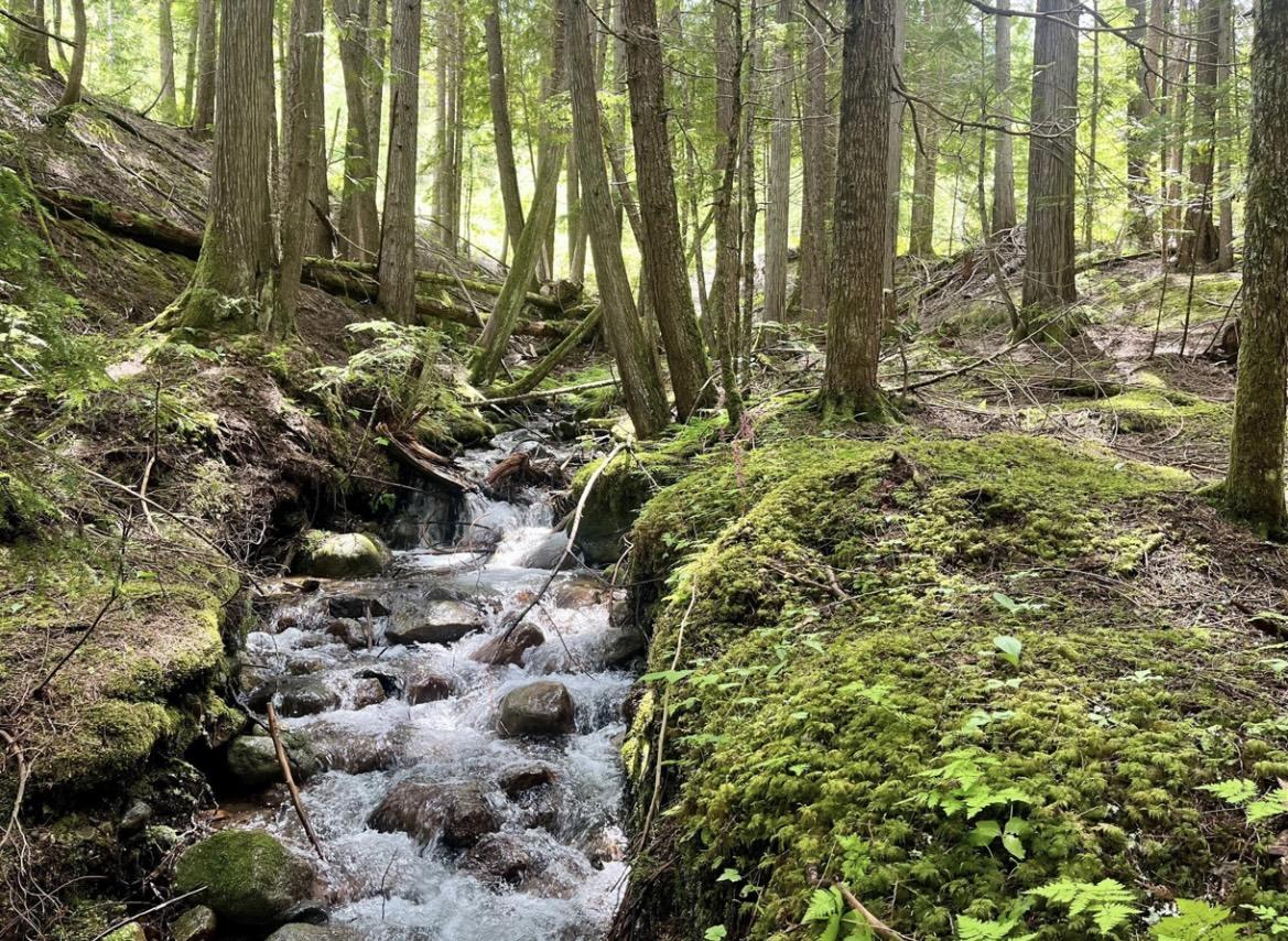Lot 2 Red Mountain Road, Silverton, BC