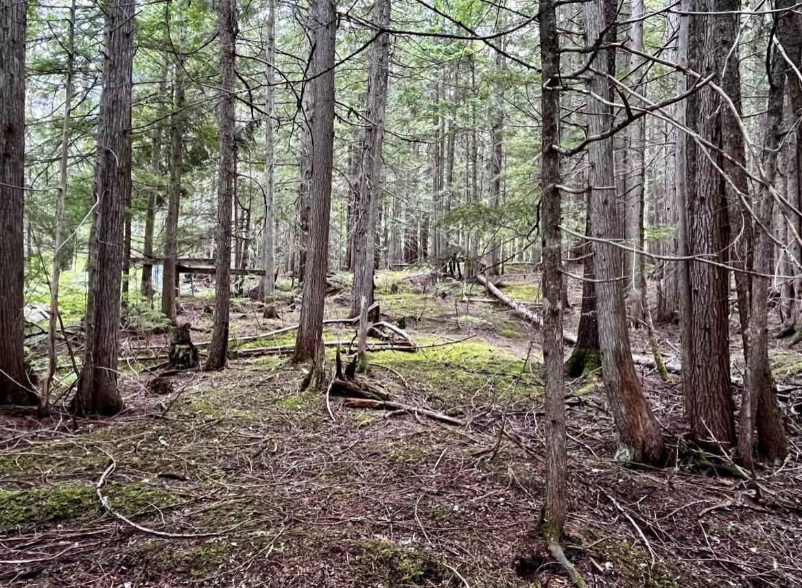 Lot 2 Red Mountain Road, Silverton, BC