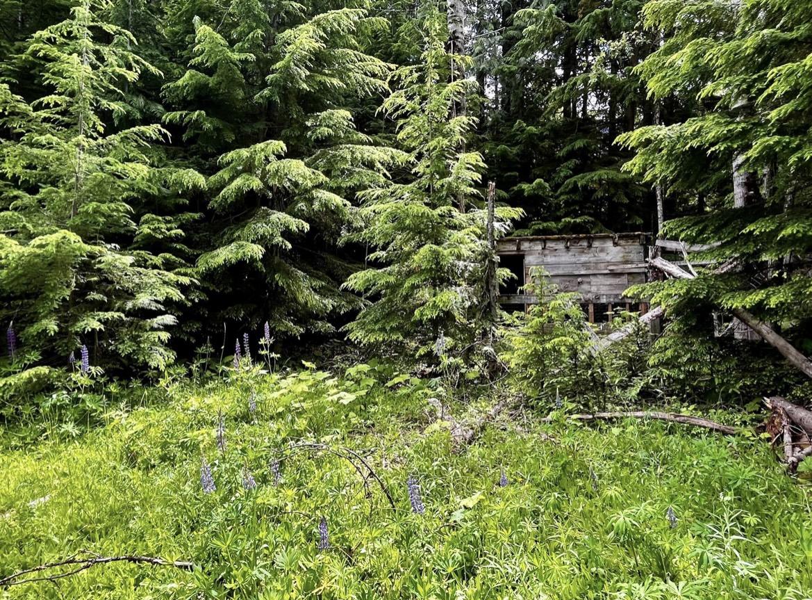 Lot 2 Red Mountain Road, Silverton, BC