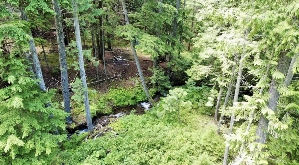 Lot 2 Red Mountain Road, Silverton, BC