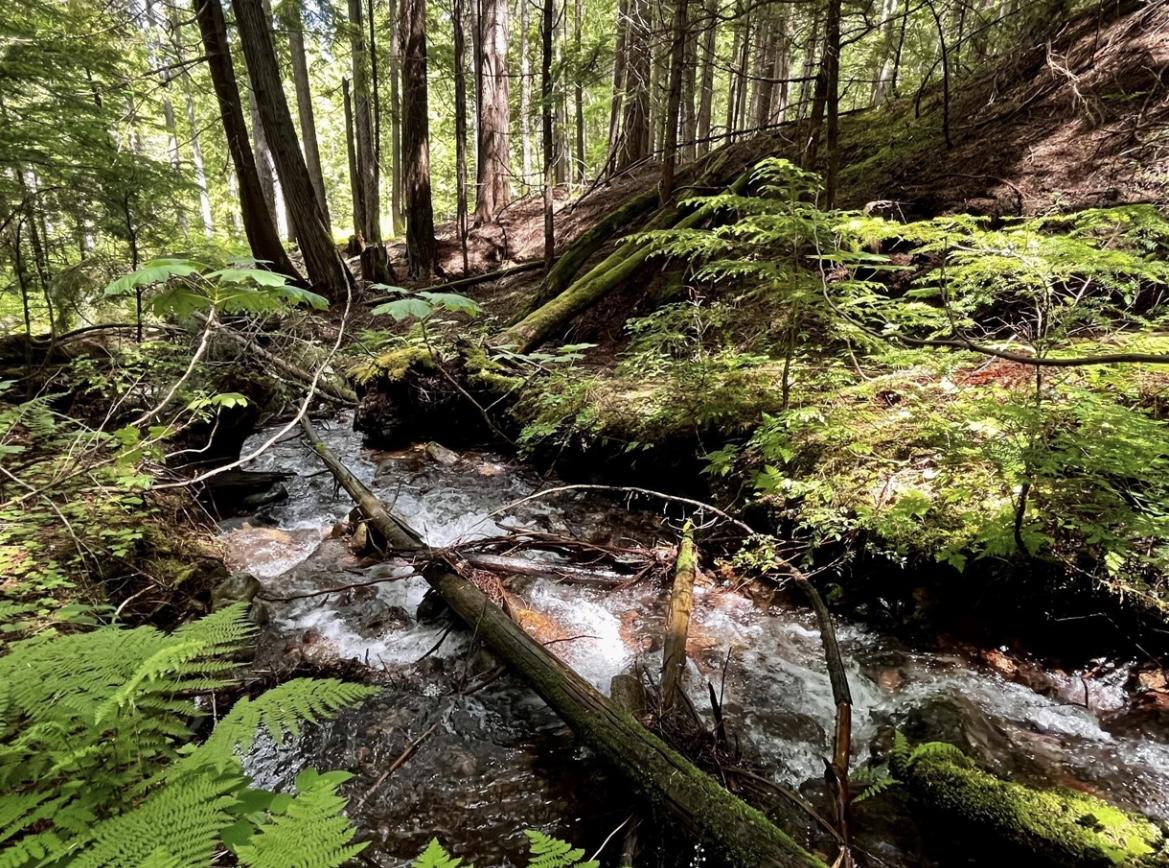 Lot 2 Red Mountain Road, Silverton, BC