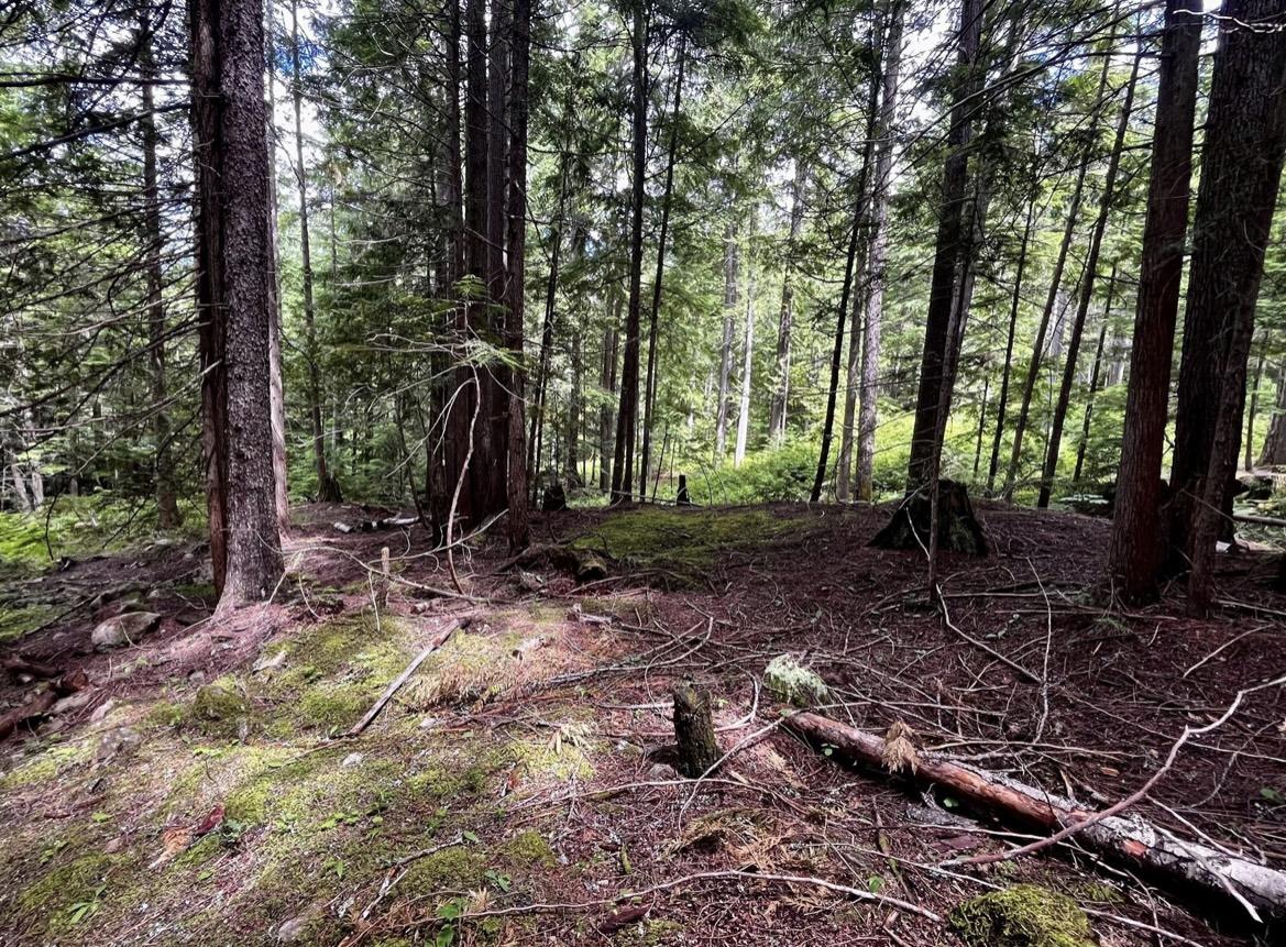 Lot 2 Red Mountain Road, Silverton, BC