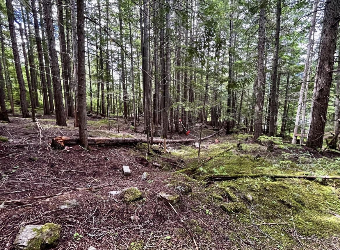 Lot 2 Red Mountain Road, Silverton, BC
