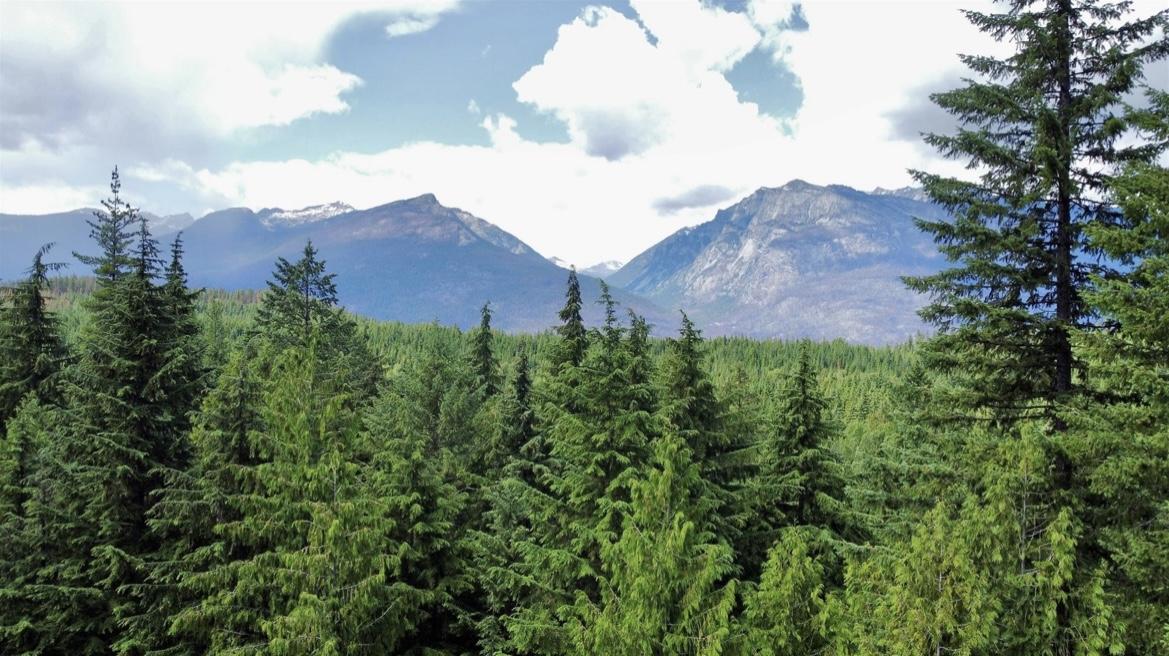 Lot 2 Red Mountain Road, Silverton, BC