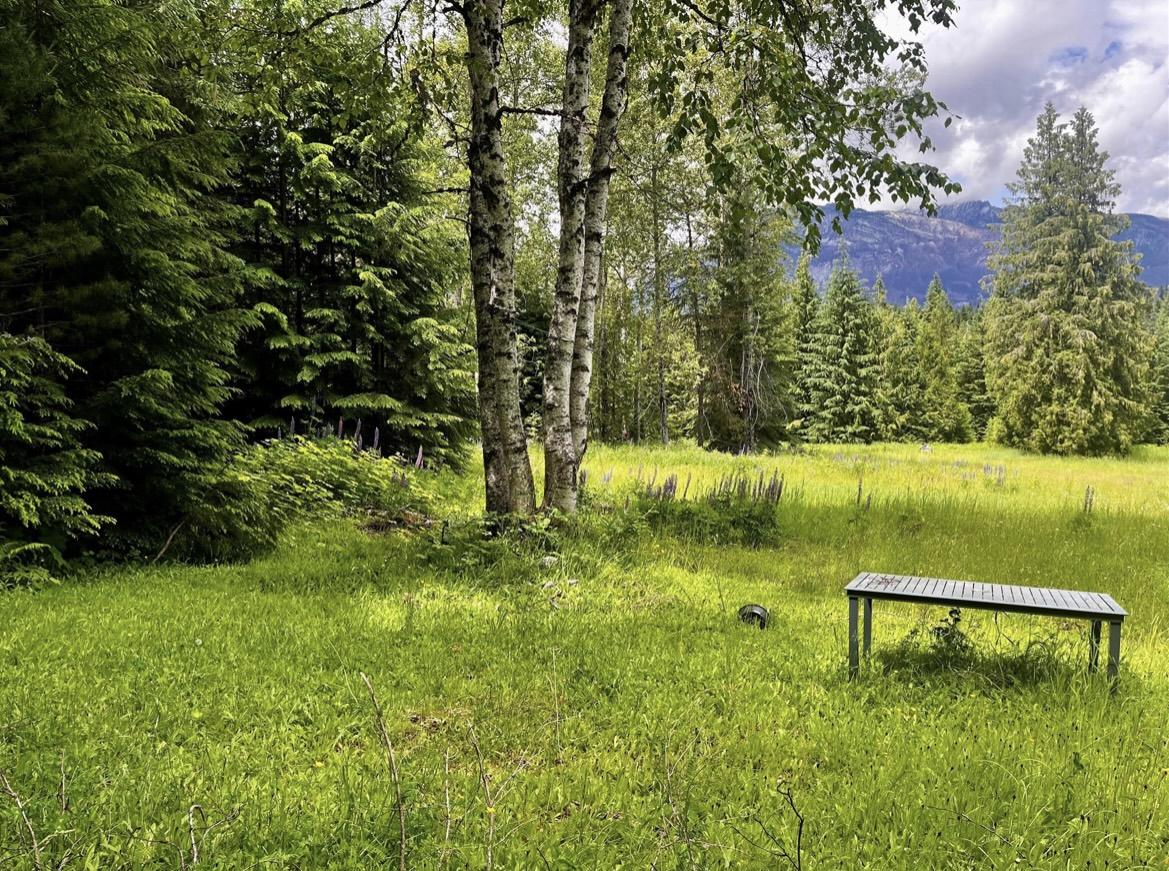 Lot 2 Red Mountain Road, Silverton, BC