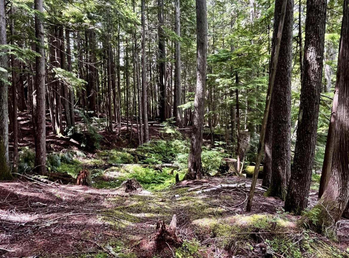 Lot 2 Red Mountain Road, Silverton, BC