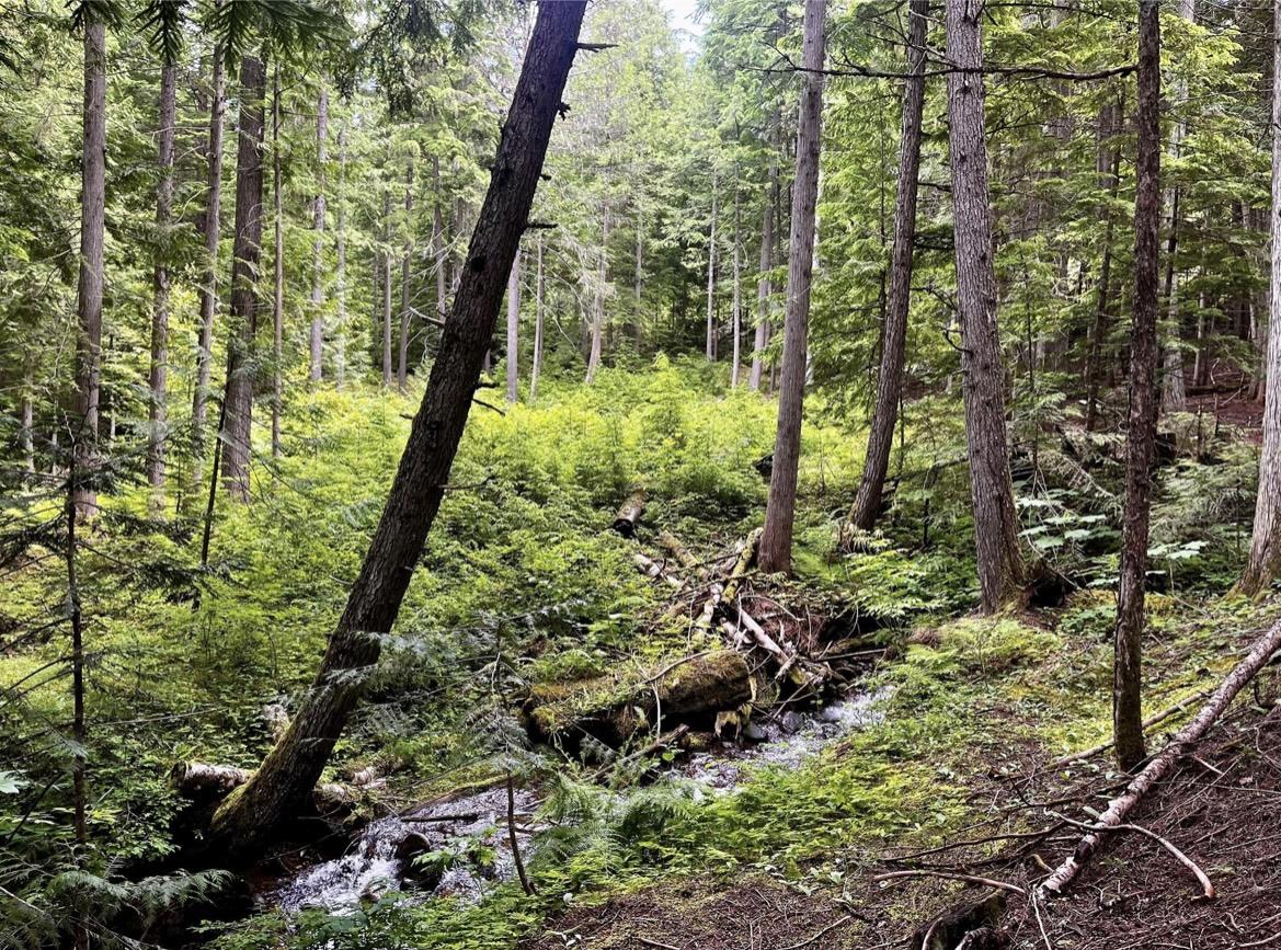 Lot 2 Red Mountain Road, Silverton, BC