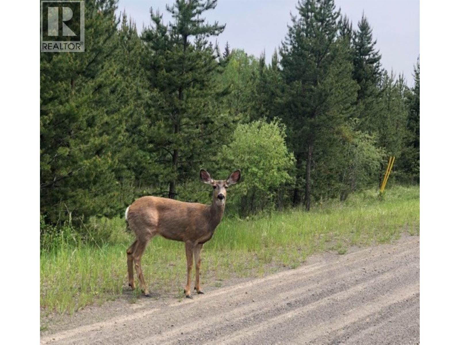 Lot 1 5916 Little Fort 24 Highway, Lone Butte, BC