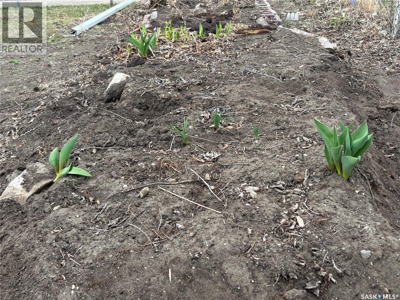 413 Maple Street, Maple Creek, SK - Outdoor