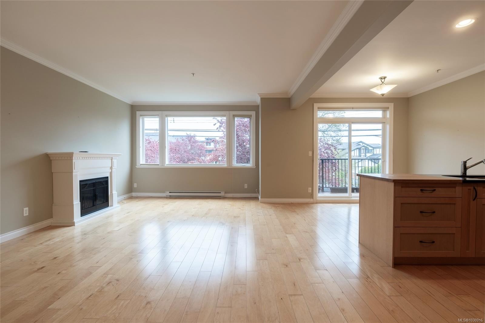 201-9942 Third St, Sidney, BC - Indoor Photo Showing Living Room With Fireplace