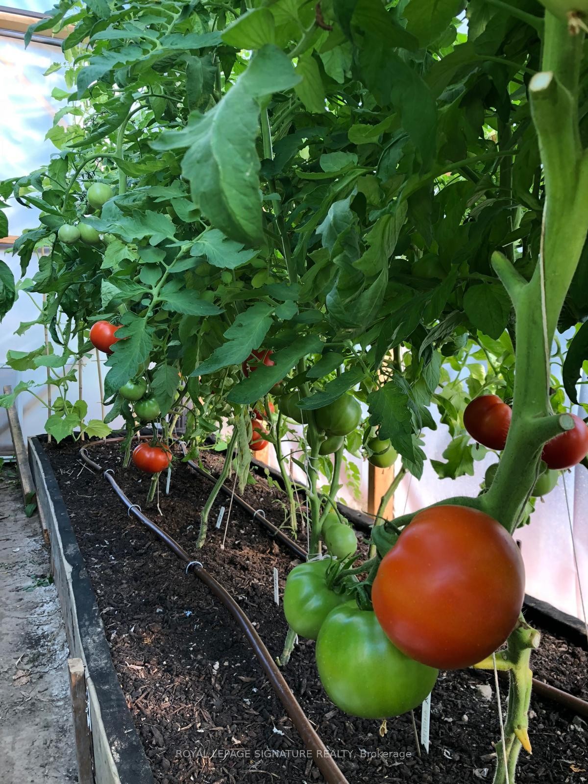 6943 Estoril Road, Mississauga, ON - Outdoor