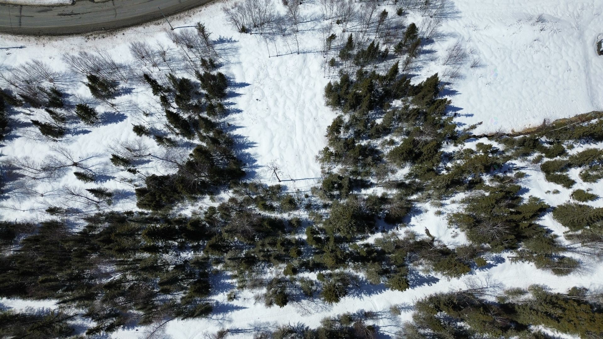 Autre - 1092 Ch. Du Lac-Arthur S., Amos, QC