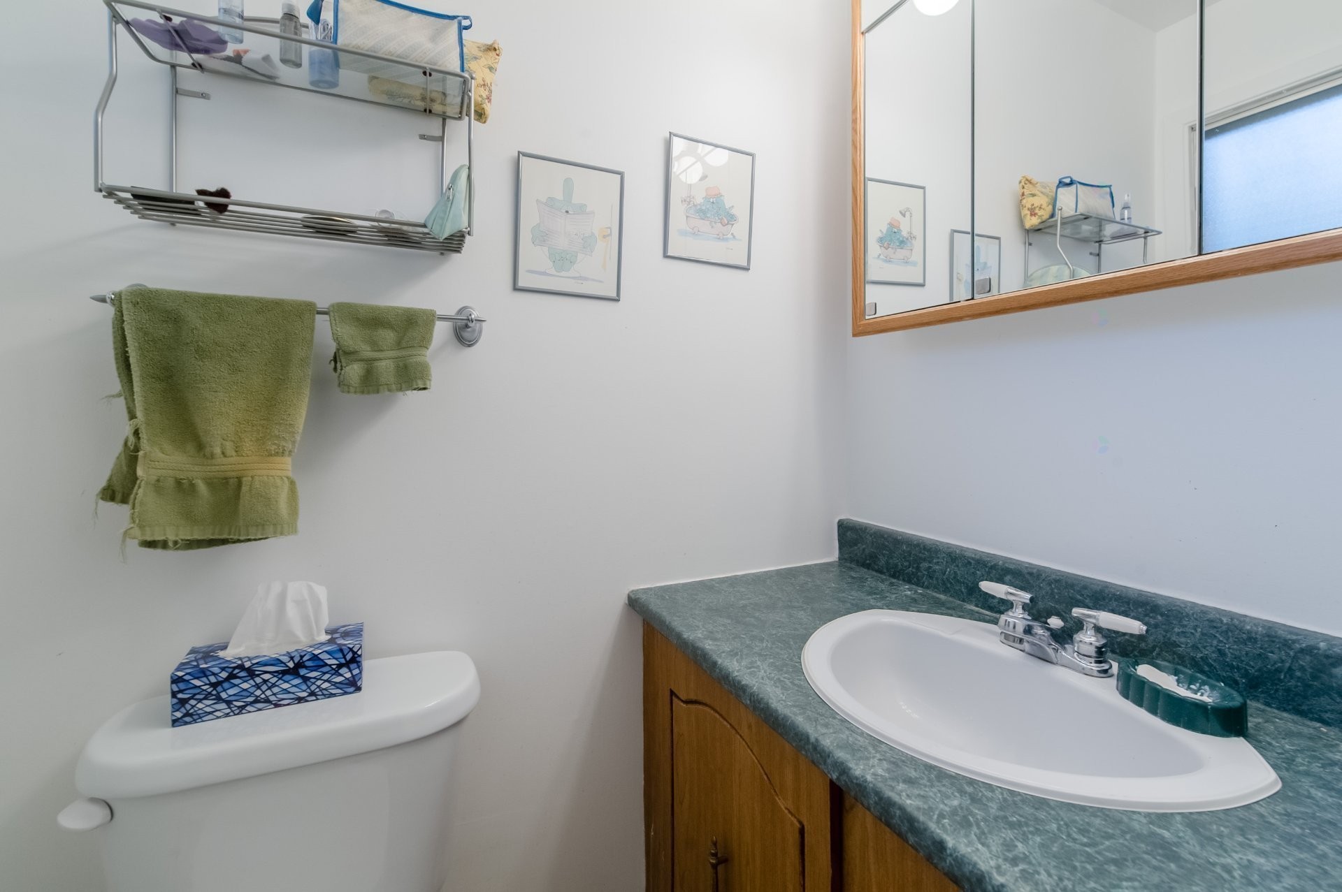 Master Bathroom - 1360 Crois. Samson, Brossard, QC - Indoor Photo Showing Bathroom