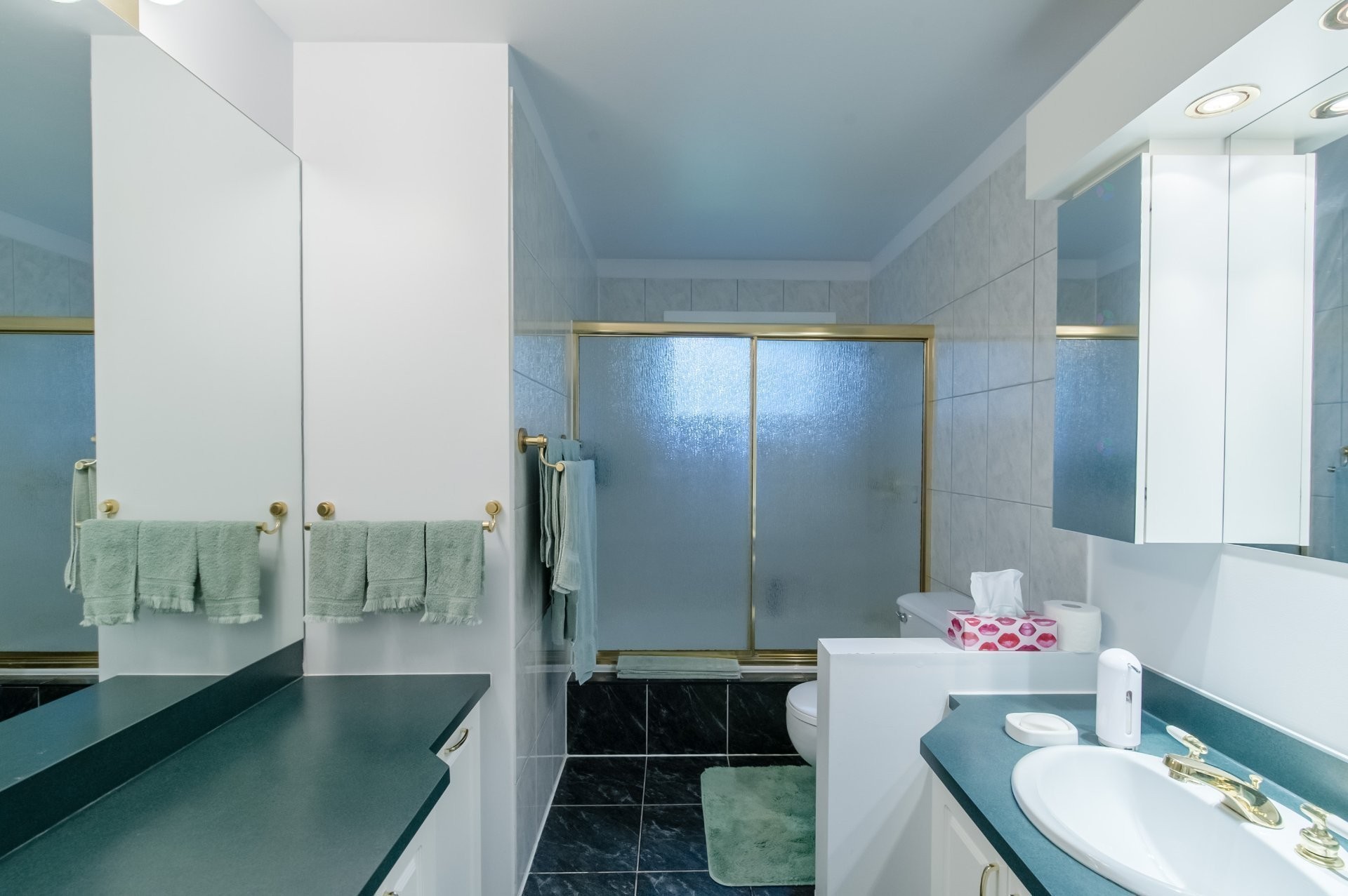 Bathroom - 1360 Crois. Samson, Brossard, QC - Indoor Photo Showing Bathroom