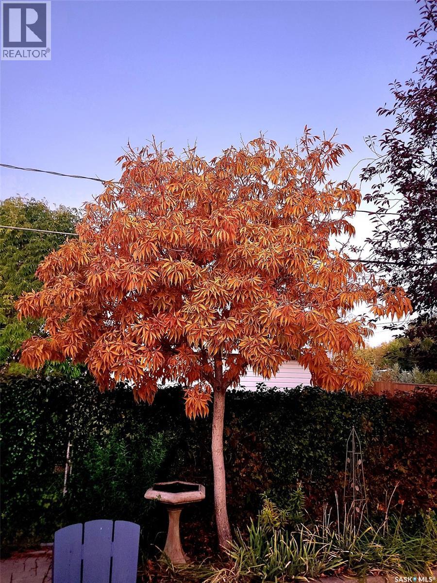 12 Secord Place, Regina, SK - Outdoor