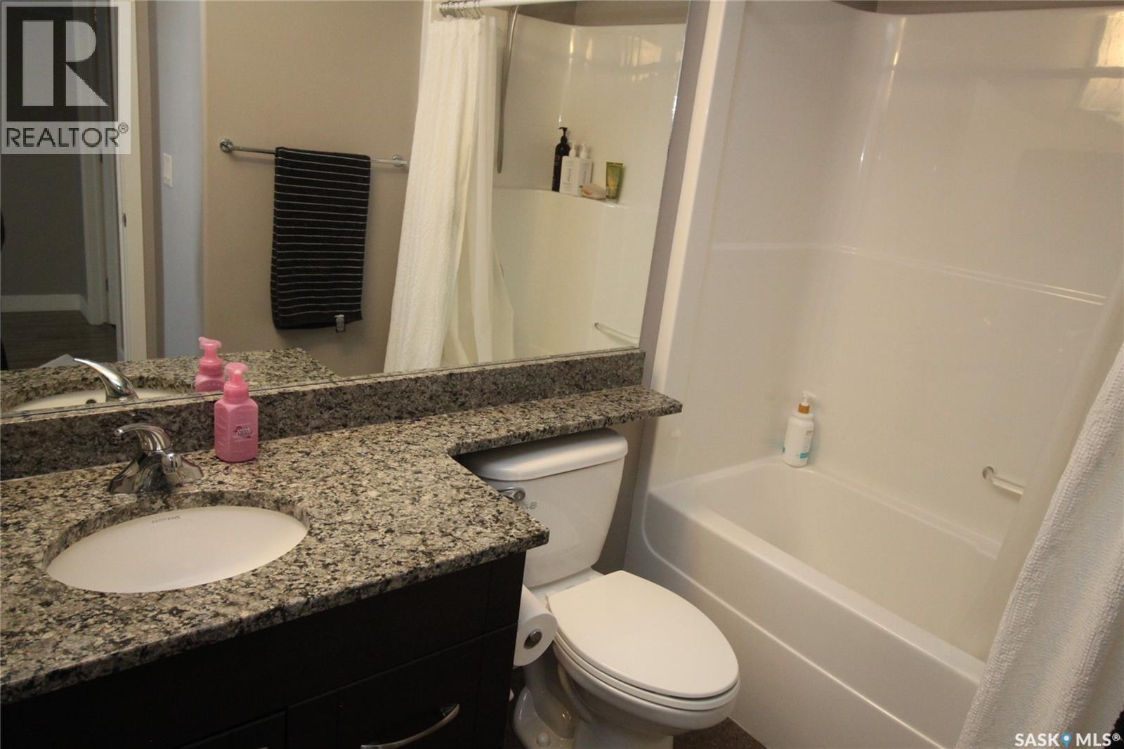 317 1035 Moss Avenue, Saskatoon, SK - Indoor Photo Showing Bathroom