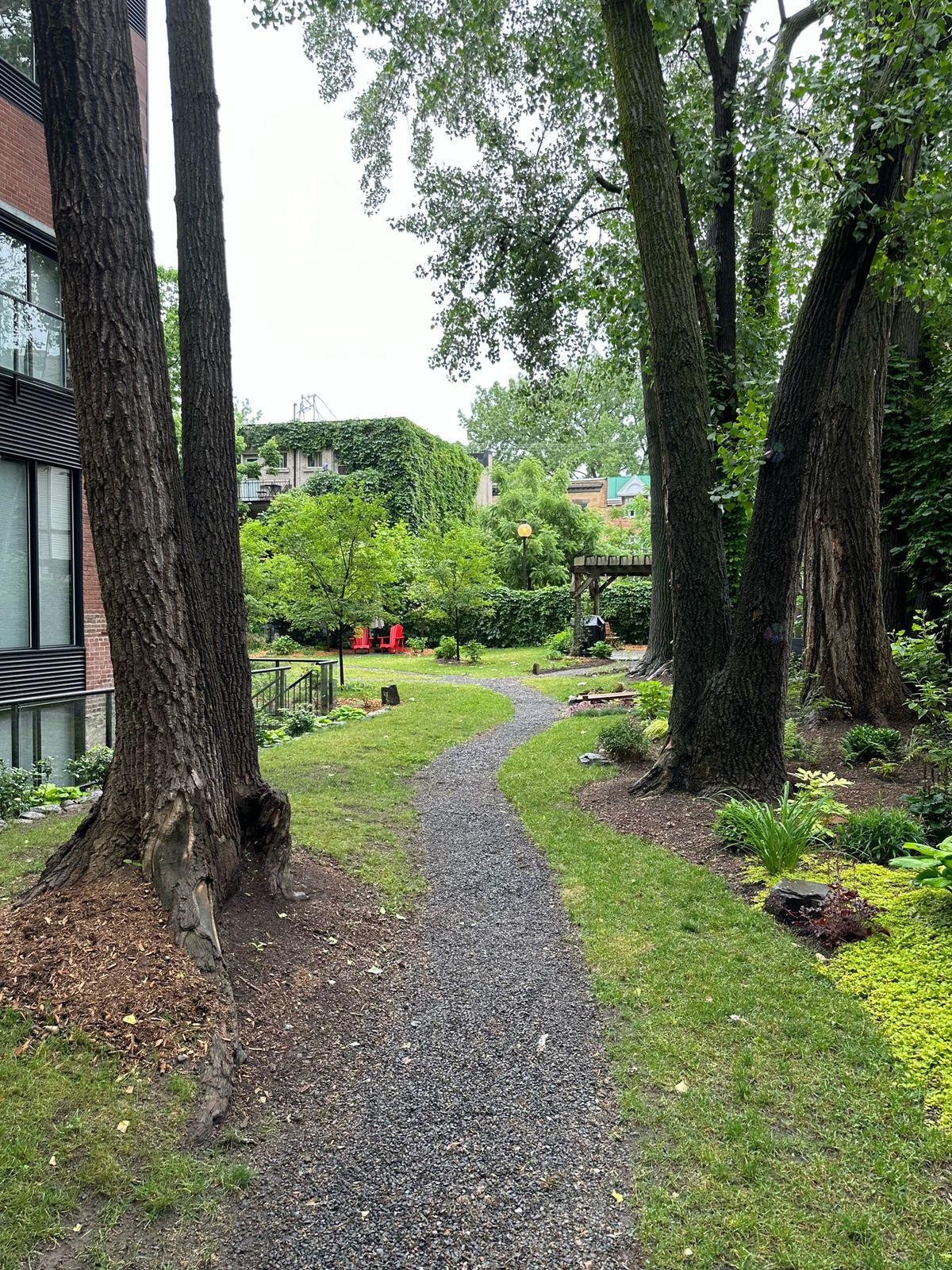 Garden - 205-1885 Rue De La Visitation, Montréal (Ville-Marie), QC - Outdoor