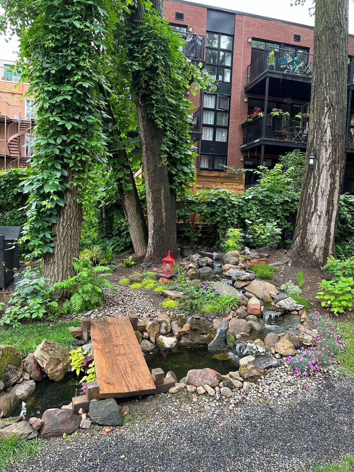 Garden - 205-1885 Rue De La Visitation, Montréal (Ville-Marie), QC - Outdoor