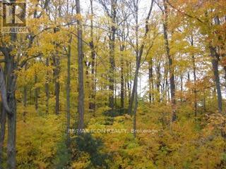 103 Glazebrook Crescent, Cambridge, ON - Outdoor With View