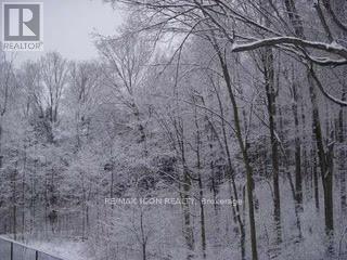 103 Glazebrook Crescent, Cambridge, ON - Outdoor With View