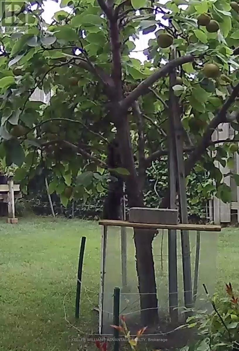 1188 Westerdam Road, Mississauga, ON -