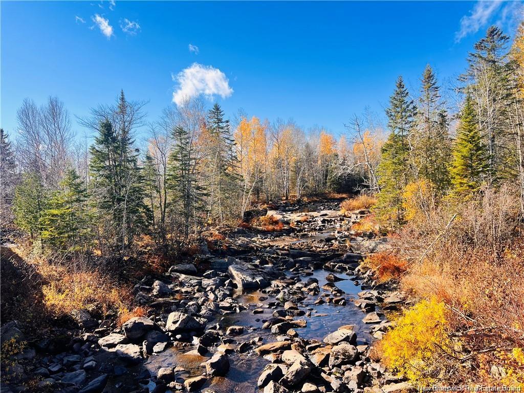 243 Acres Little River Rd, Bathurst, NB