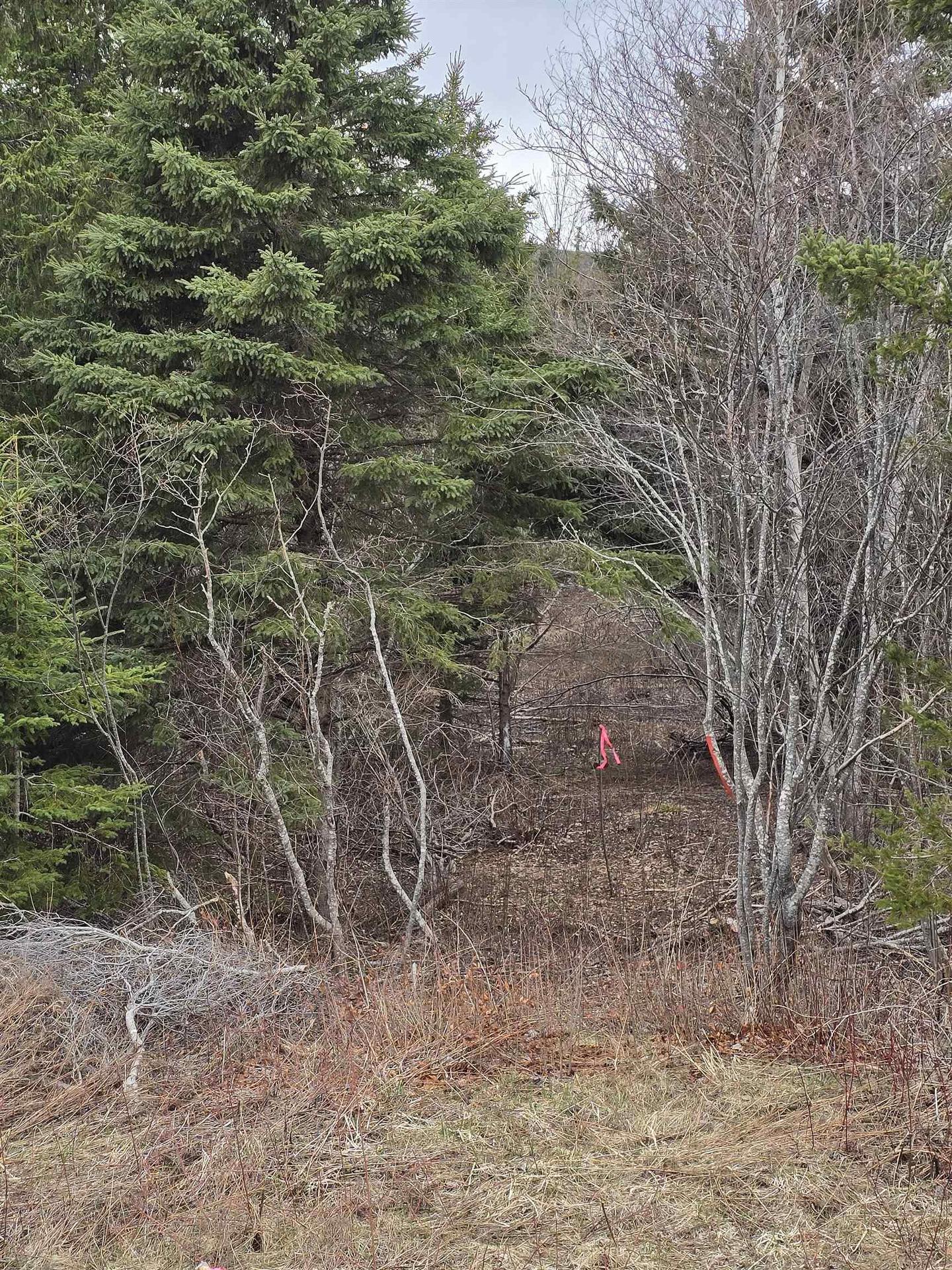 25-1 Middle River Road, Rocklin, NS