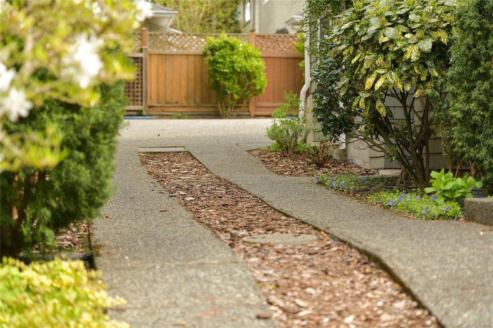 4-2109 Chambers St, Victoria, BC - Outdoor