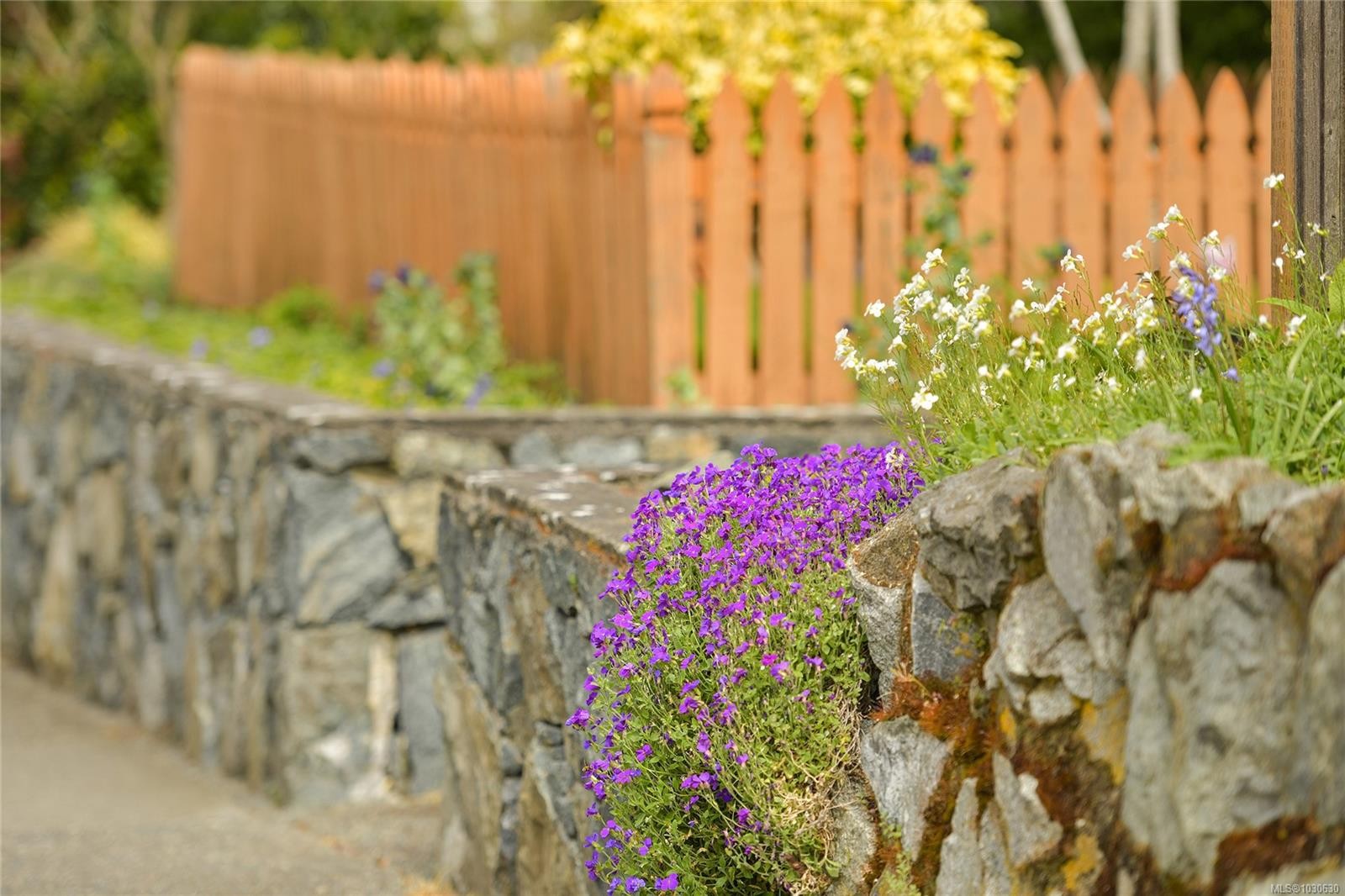 4-2109 Chambers St, Victoria, BC - Outdoor