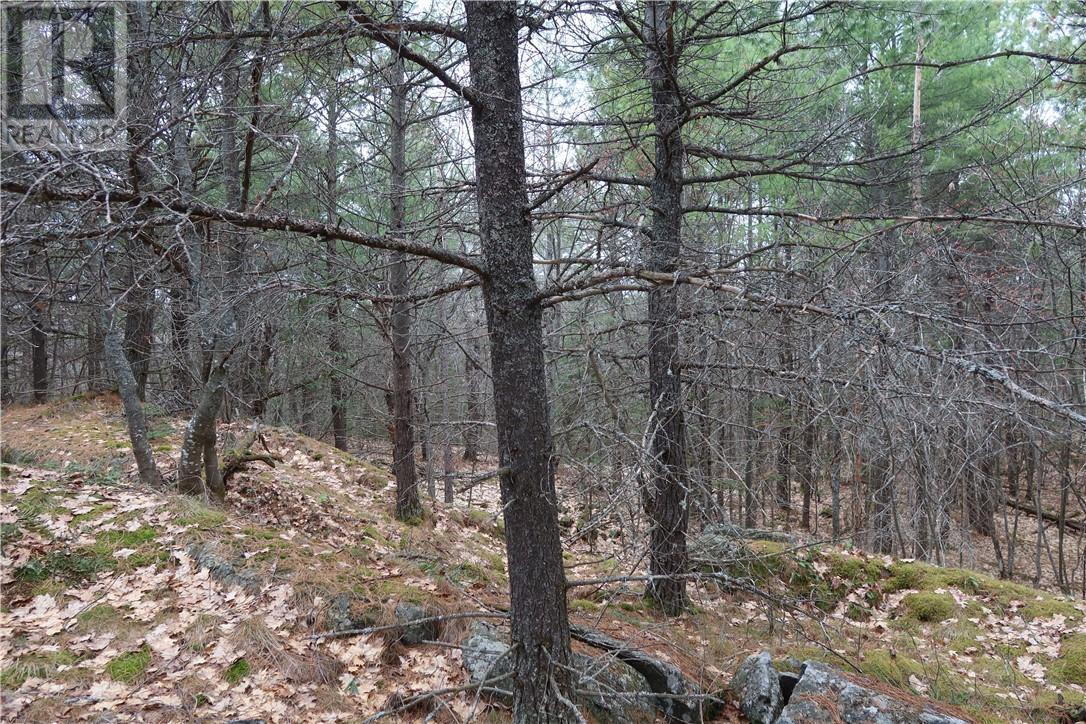 00 Faraway, Espanola, ON