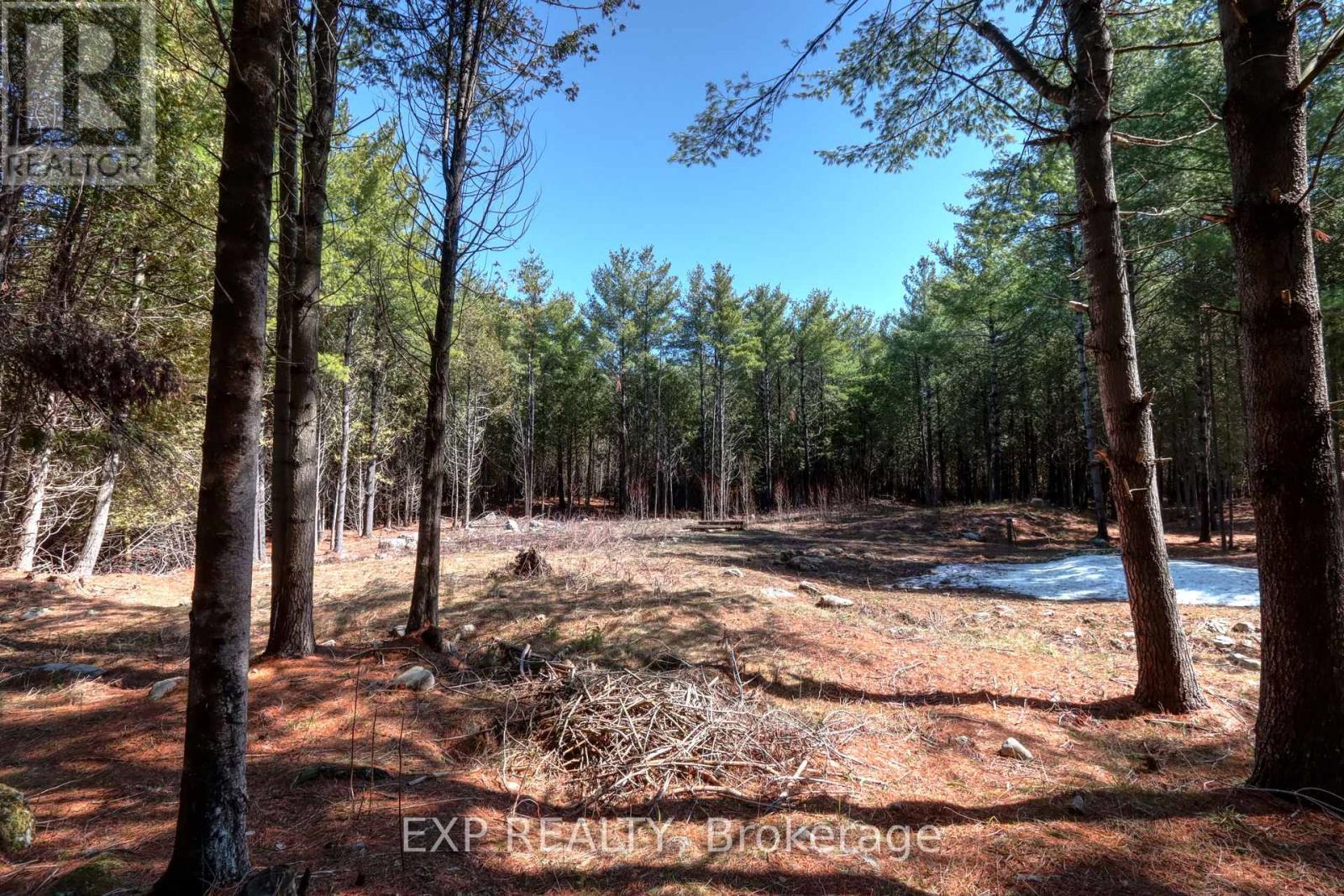 593 County 40 Road, Douro-Dummer, ON